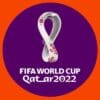 What makes this FIFA World Cup Special?