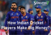 How much is Indian cricket players salary?